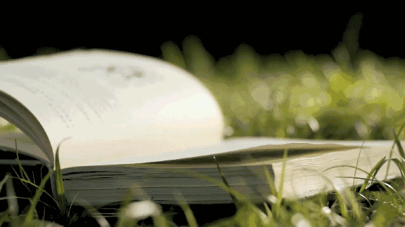 3a00329e23a14a9782e4c332aa9f5d6d.gif