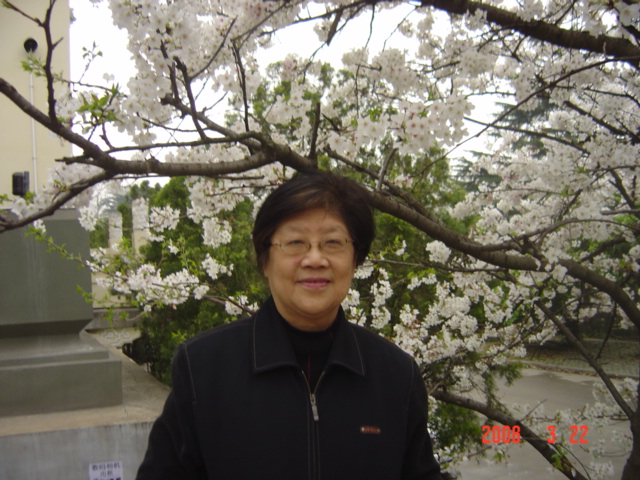樱花树下 (1).jpg