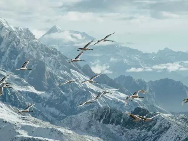 1525760326743607.jpg 微信图片_20180508141704.jpg