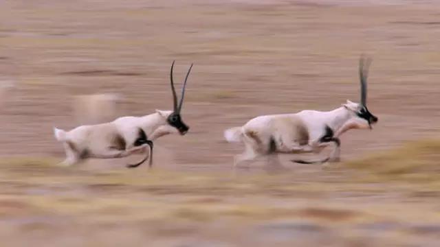 1525760333311528.jpg 微信图片_20180508141707.jpg