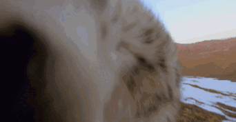 1525760356474329.gif 微信图片_20180508141715.gif