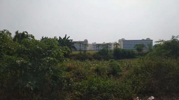 微信图片_20180702154014.jpg