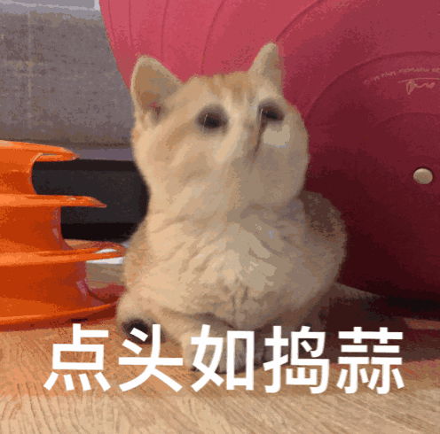 1536743087915046.gif 微信图片_20180912170345.gif