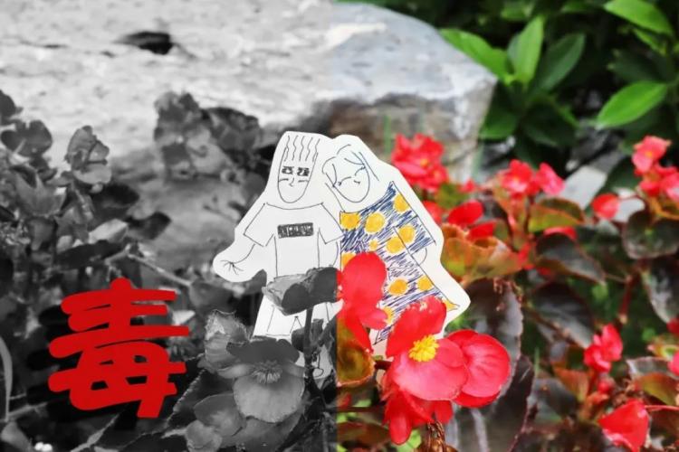 1593695877574298.jpg 微信图片_20200702211746.jpg